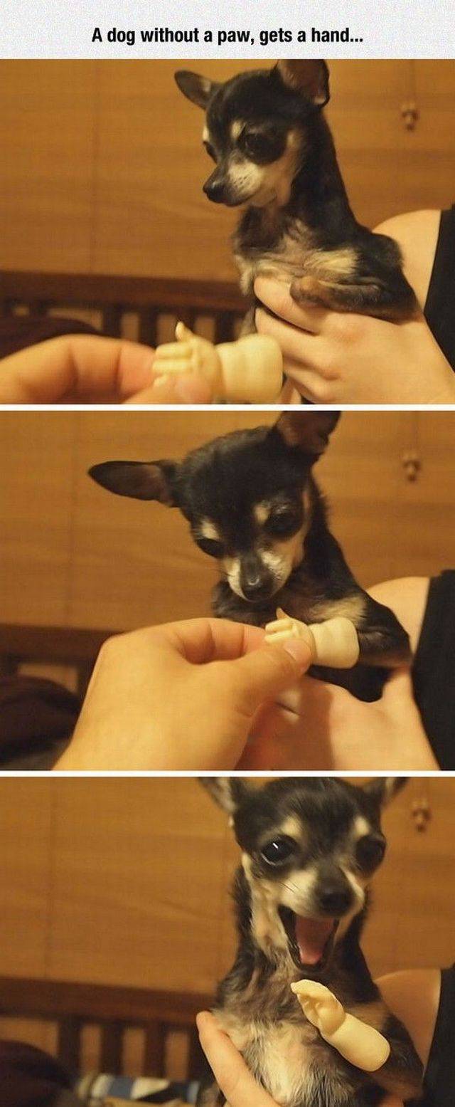 daily picdump 95 pics 22.html - 95 HD Photos | Premium Gallery 2017