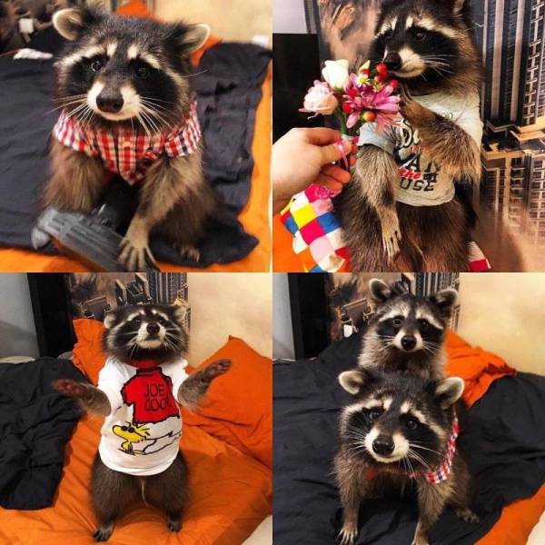 daily picdump 95 pics 35.html - 95 HD Photos | Premium Gallery 2017