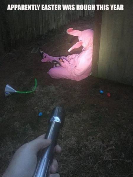 daily picdump 95 pics 35.html - 95 HD Photos | Premium Gallery 2017