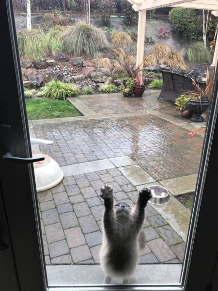 daily picdump 95 pics 35.html - 95 HD Photos | Premium Gallery 2017