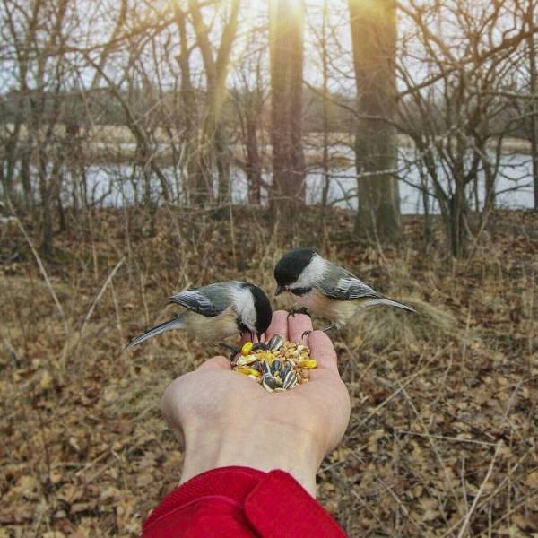 daily picdump 95 pics 35.html - 95 HD Photos | Premium Gallery 2017