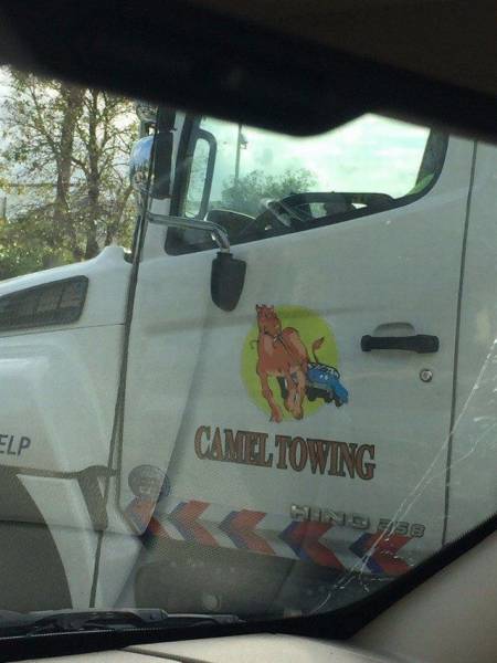 daily picdump 95 pics 35.html - 95 HD Photos | Premium Gallery 2017