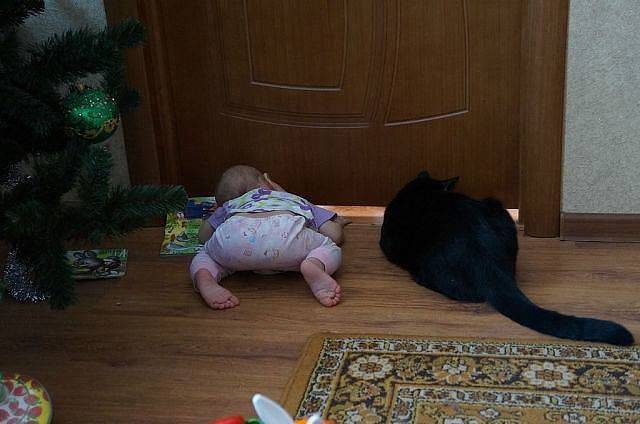 daily picdump 95 pics 35.html - 95 HD Photos | Premium Gallery 2017