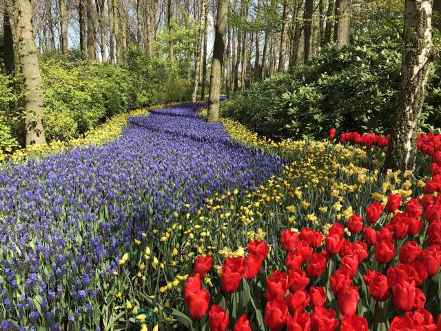 morning picdump 51 pics 17.html - 51 HD Photos | Premium Gallery 2017