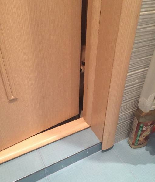 daily picdump 102 pics 34.html - 102 HD Photos | Premium Gallery 2017