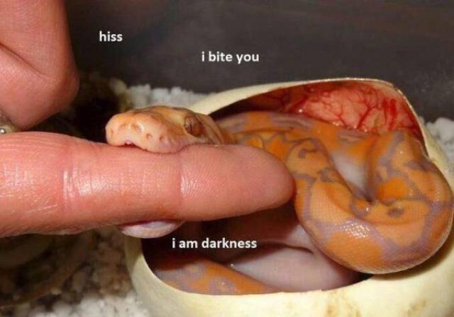 daily picdump 102 pics 34.html - 102 HD Photos | Premium Gallery 2017