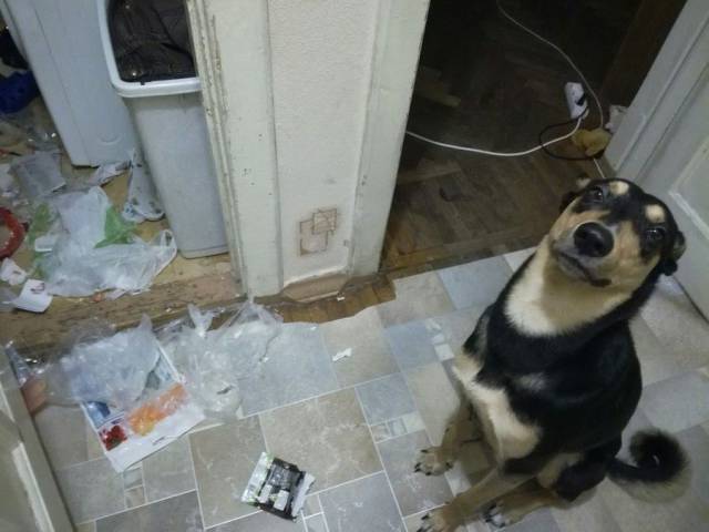 daily picdump 102 pics 34.html - 102 HD Photos | Premium Gallery 2017