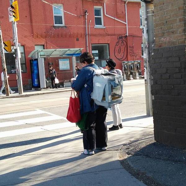 daily picdump 102 pics 34.html - 102 HD Photos | Premium Gallery 2017