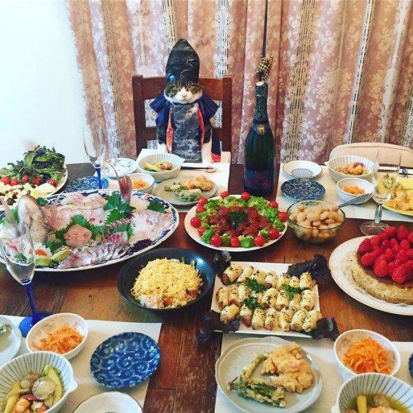 daily picdump 102 pics 34.html - 102 HD Photos | Premium Gallery 2017