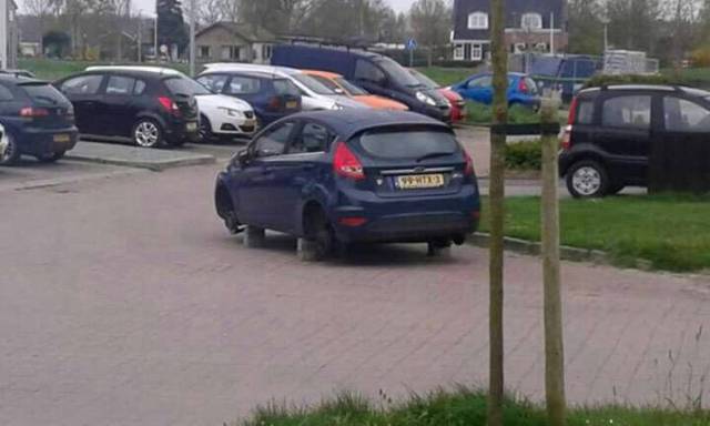 daily picdump 102 pics 34.html - 102 HD Photos | Premium Gallery 2017