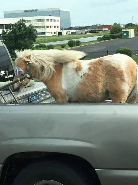 daily picdump 102 pics 34.html - 102 HD Photos | Premium Gallery 2017