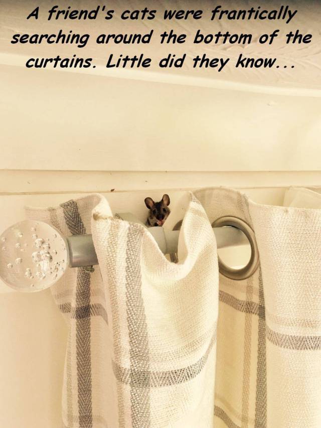 daily picdump 102 pics 34.html - 102 HD Photos | Premium Gallery 2017