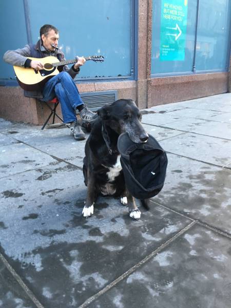 morning picdump 50 pics 18.html - 50 HD Photos | Premium Gallery 2017