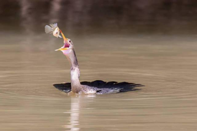 morning picdump 50 pics 18.html - 50 HD Photos | Premium Gallery 2017