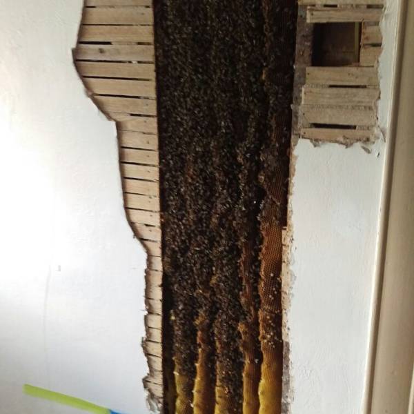 morning picdump 50 pics 18.html - 50 HD Photos | Premium Gallery 2017