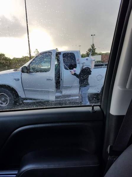 morning picdump 50 pics 18.html - 50 HD Photos | Premium Gallery 2017