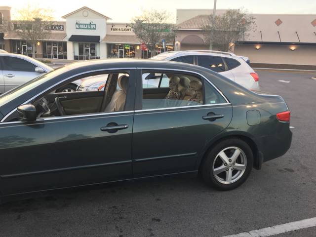 morning picdump 50 pics 18.html - 50 HD Photos | Premium Gallery 2017