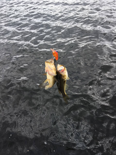 morning picdump 50 pics 18.html - 50 HD Photos | Premium Gallery 2017