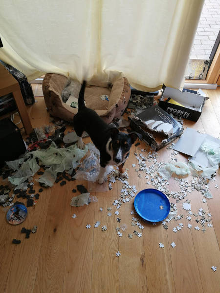 morning picdump 50 pics 18.html - 50 HD Photos | Premium Gallery 2017