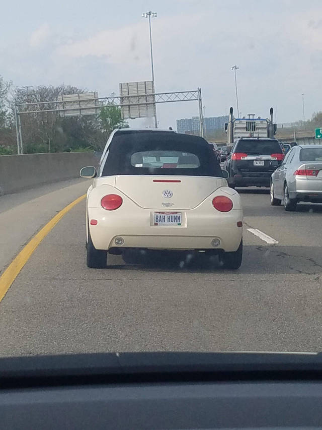 morning picdump 50 pics 18.html - 50 HD Photos | Premium Gallery 2017