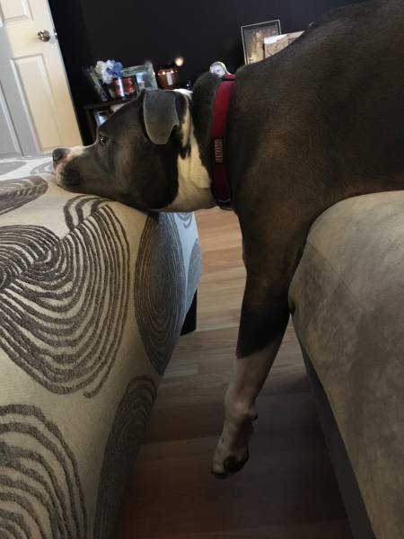 Relax As Hard As You Can