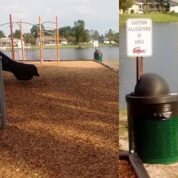 daily picdump 97 pics 26.html - 97 HD Photos | Premium Gallery 2017