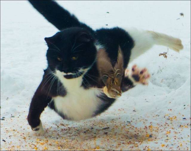 daily picdump 97 pics 26.html - 97 HD Photos | Premium Gallery 2017