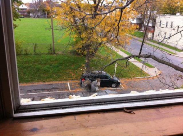 daily picdump 97 pics 26.html - 97 HD Photos | Premium Gallery 2017