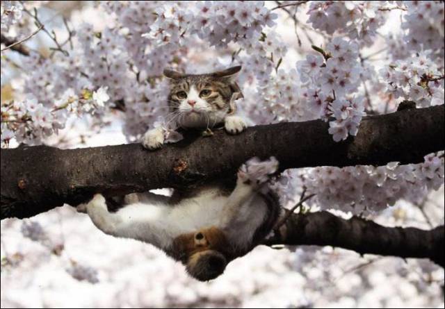 daily picdump 97 pics 26.html - 97 HD Photos | Premium Gallery 2017