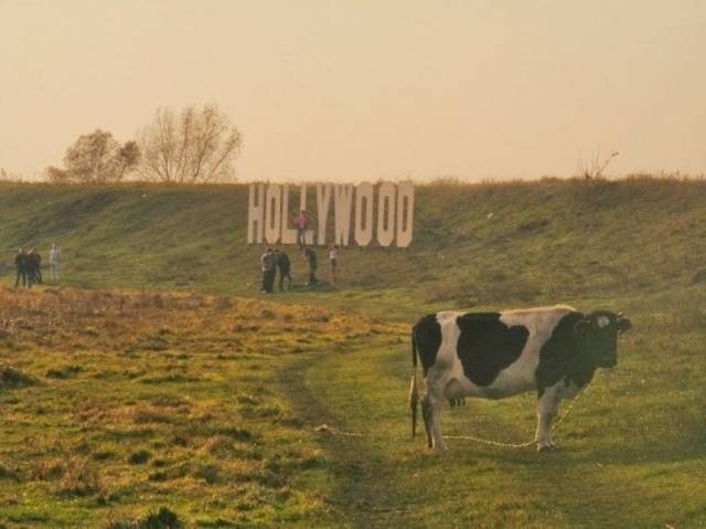 daily picdump 97 pics 26.html - 97 HD Photos | Premium Gallery 2017