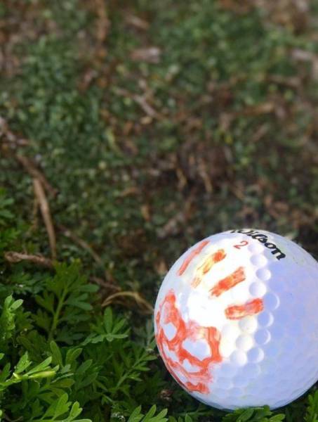 daily picdump 97 pics 26.html - 97 HD Photos | Premium Gallery 2017