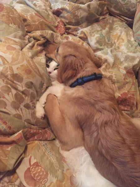 daily picdump 97 pics 26.html - 97 HD Photos | Premium Gallery 2017