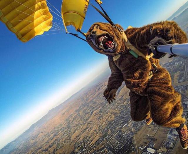 daily picdump 97 pics 26.html - 97 HD Photos | Premium Gallery 2017