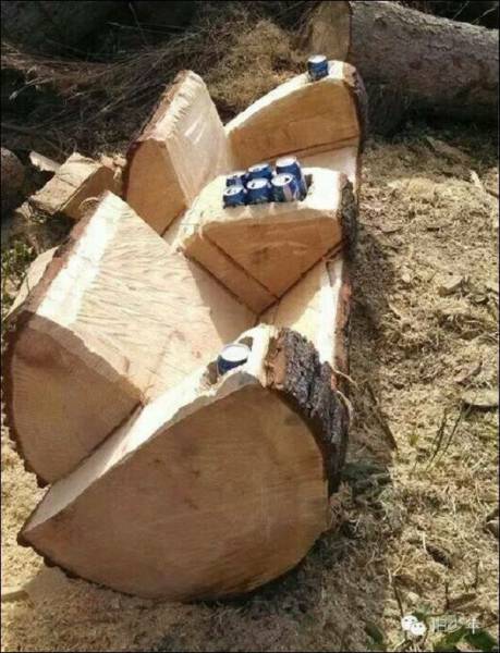 daily picdump 97 pics 26.html - 97 HD Photos | Premium Gallery 2017