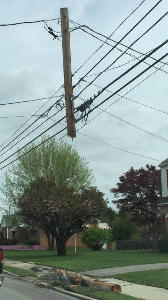 daily picdump 97 pics 26.html - 97 HD Photos | Premium Gallery 2017