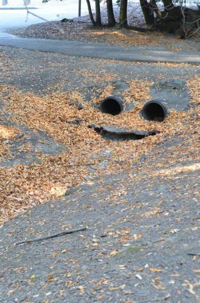 daily picdump 97 pics 26.html - 97 HD Photos | Premium Gallery 2017