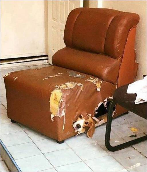 daily picdump 97 pics 26.html - 97 HD Photos | Premium Gallery 2017