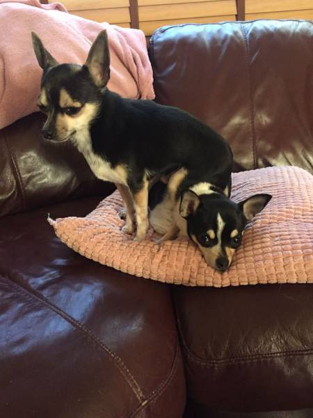 daily picdump 97 pics 26.html - 97 HD Photos | Premium Gallery 2017