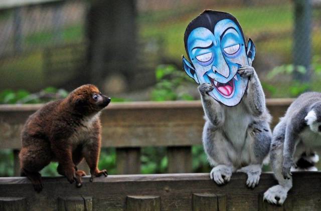 daily picdump 97 pics 26.html - 97 HD Photos | Premium Gallery 2017