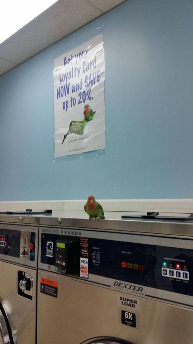 daily picdump 97 pics 26.html - 97 HD Photos | Premium Gallery 2017