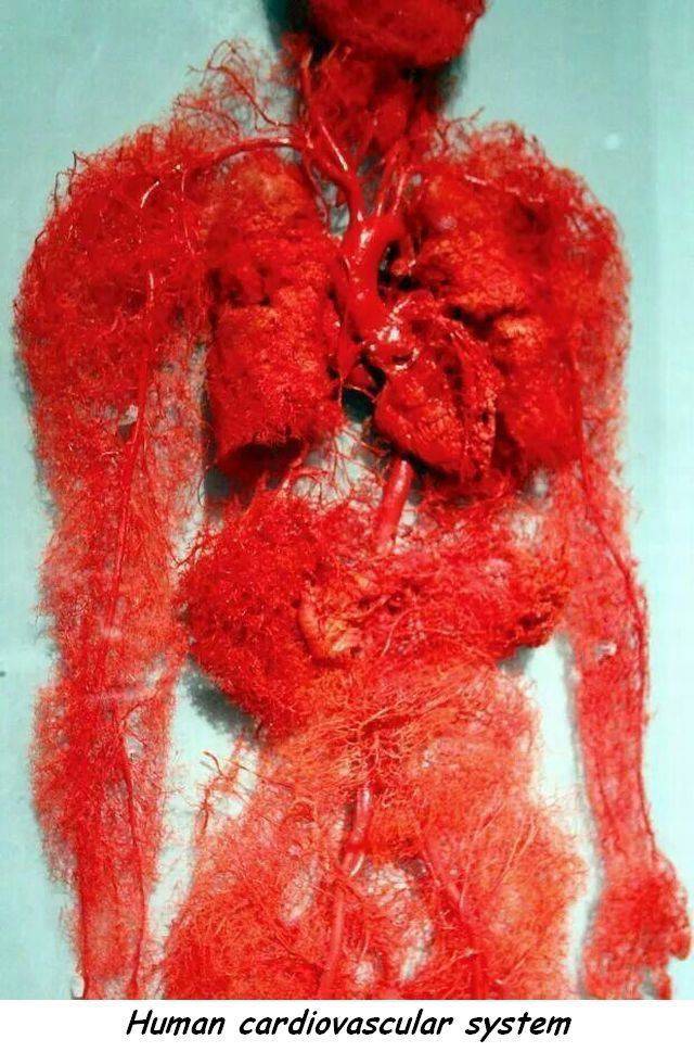 daily picdump 97 pics 26.html - 97 HD Photos | Premium Gallery 2017