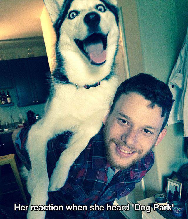 daily picdump 97 pics 26.html - 97 HD Photos | Premium Gallery 2017