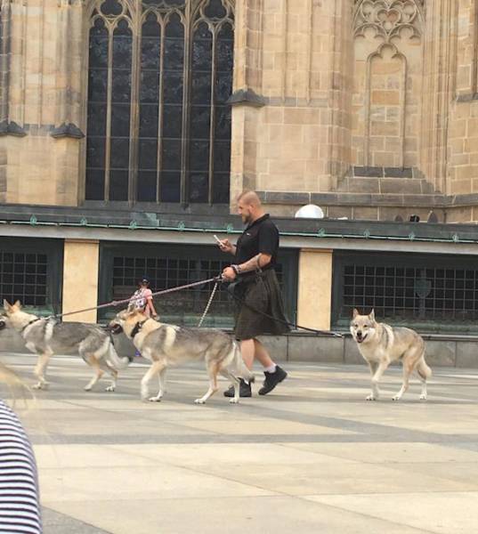 Daily Picdump [WEEKEND EDITION]