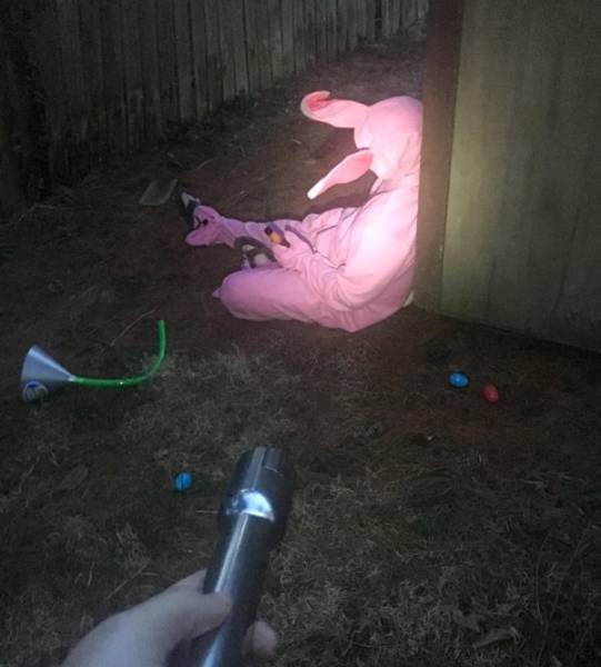 Daily Picdump [WEEKEND EDITION]