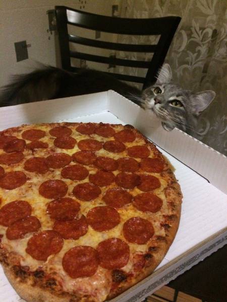 daily picdump 104 pics 12.html - 104 HD Photos | Premium Gallery 2017