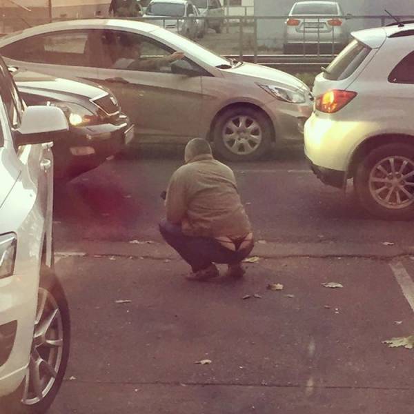 daily picdump 104 pics 12.html - 104 HD Photos | Premium Gallery 2017