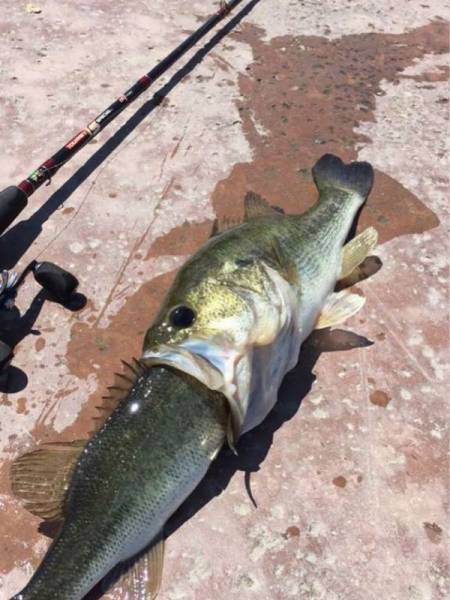 daily picdump 104 pics 12.html - 104 HD Photos | Premium Gallery 2017