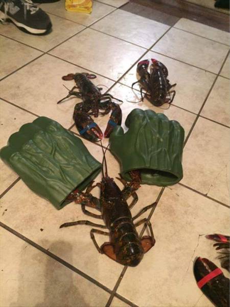 daily picdump 104 pics 12.html - 104 HD Photos | Premium Gallery 2017