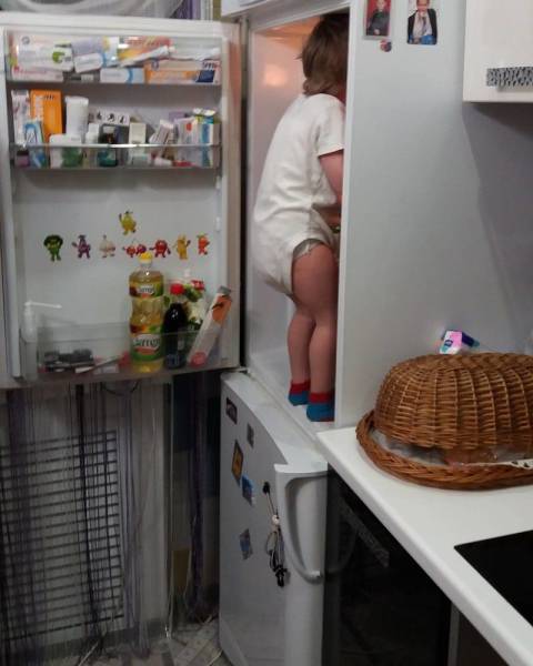 daily picdump 104 pics 12.html - 104 HD Photos | Premium Gallery 2017