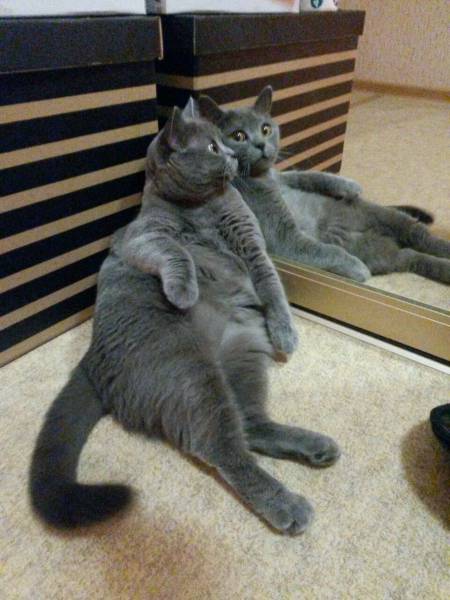 daily picdump 104 pics 12.html - 104 HD Photos | Premium Gallery 2017